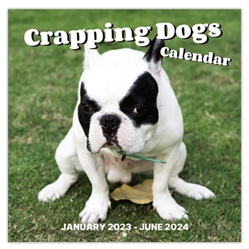 1 PCS 2024 m. sieninis kalendorius-2024 m. kalendorius 12 mėnesinių pooping šunų kalendorius 2024 m Juokingos gag dovanos