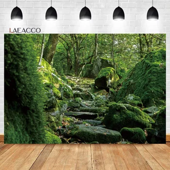 Laeacco Džiunglių miško fonas Pavasario užburti gamtos medžiai Atogrąžų miškas Svajonių šalis Purvo kelias Žalias vaikų portretas Fonas