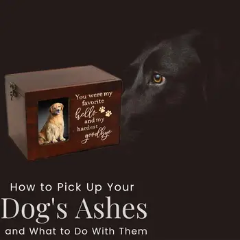 Wood Pet Keepsake urns Saugojimo dėžutė kačių šunų medinėms atminimo kremavimo urnoms su nuotraukų rėmelių jubiliejiniais reikmenimis H5H3